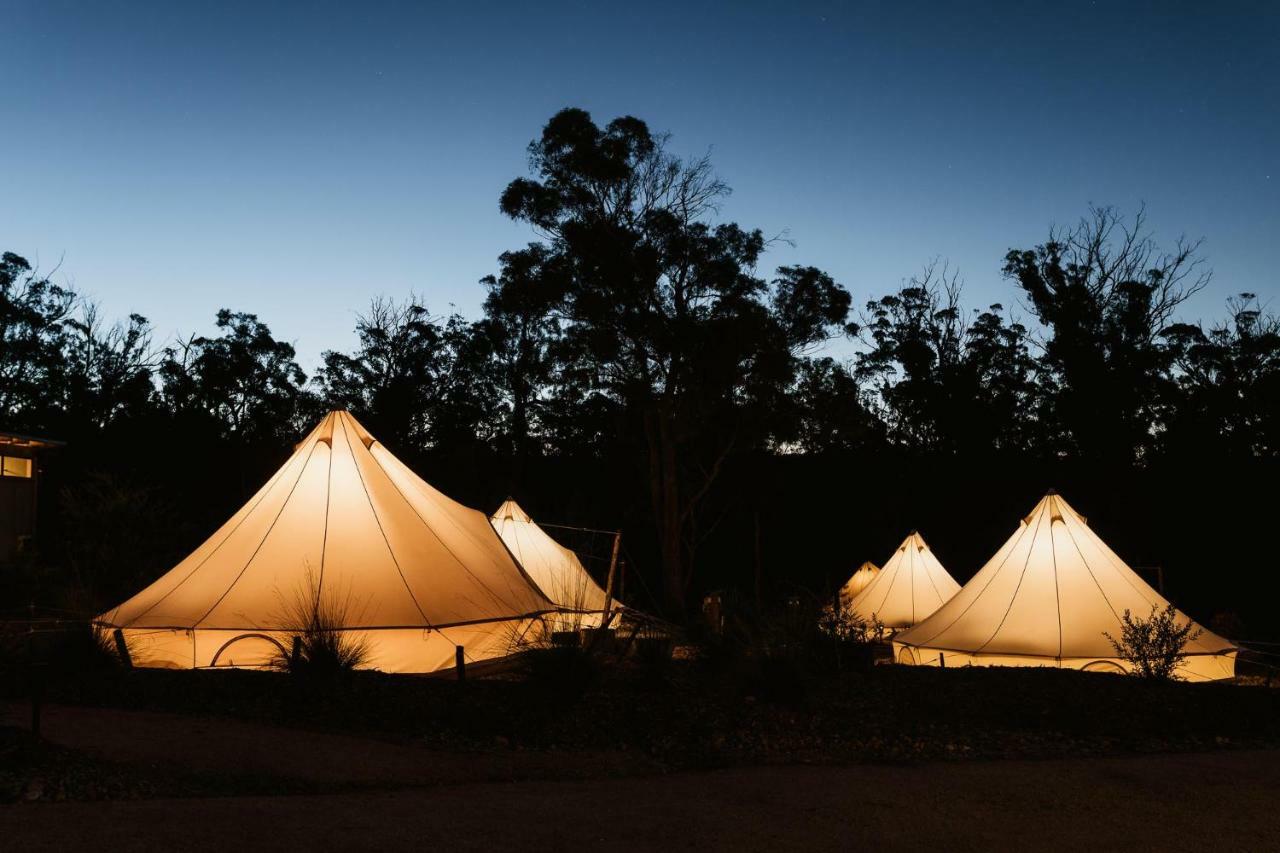 Bay Of Fires Bush Retreat Bed & Breakfast Binalong Bay Eksteriør bilde
